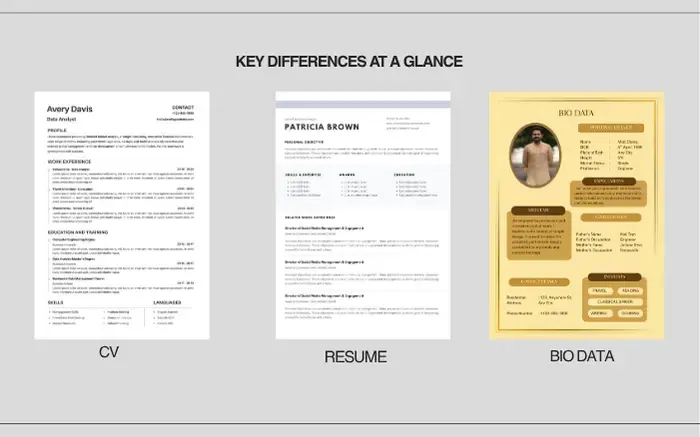 cv vs resume vs bio data - key differences at a glance